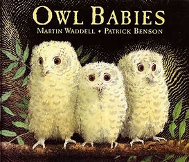 owl babies owl babies