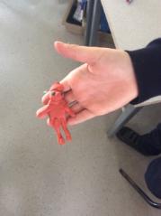 IMG-1573
